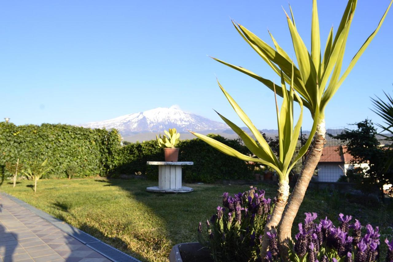 Good Morning Etna Bed & Breakfast Bronte Exterior photo